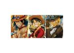 One Piece Luffy Flip Anime Lenticular Poster Triple Transitions For Restaurant