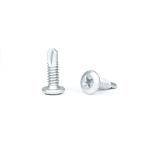 Steel Structure Phillips Truss Head Stainless Steel Self Tapping Screws Metal
