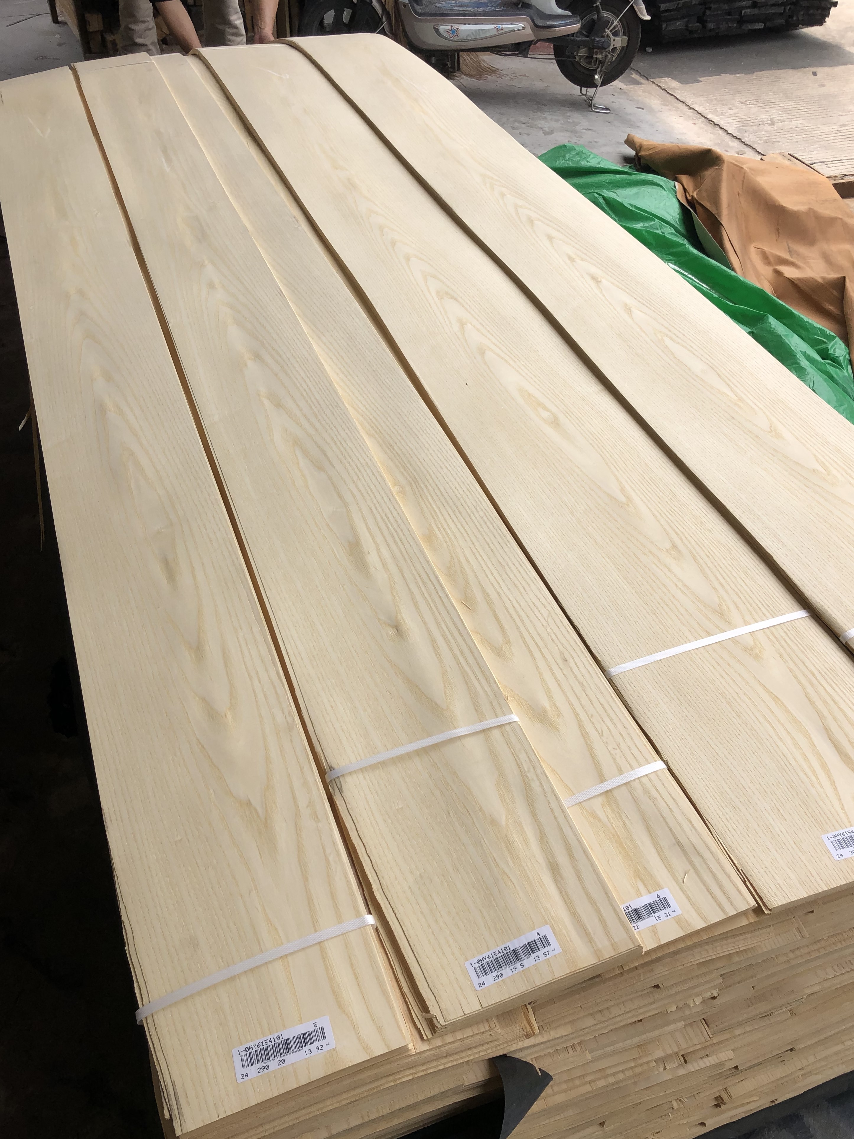 Factory Supply Natural White Ash Wood Veneer Sheet American White Ash Veneers Wood for Furniture