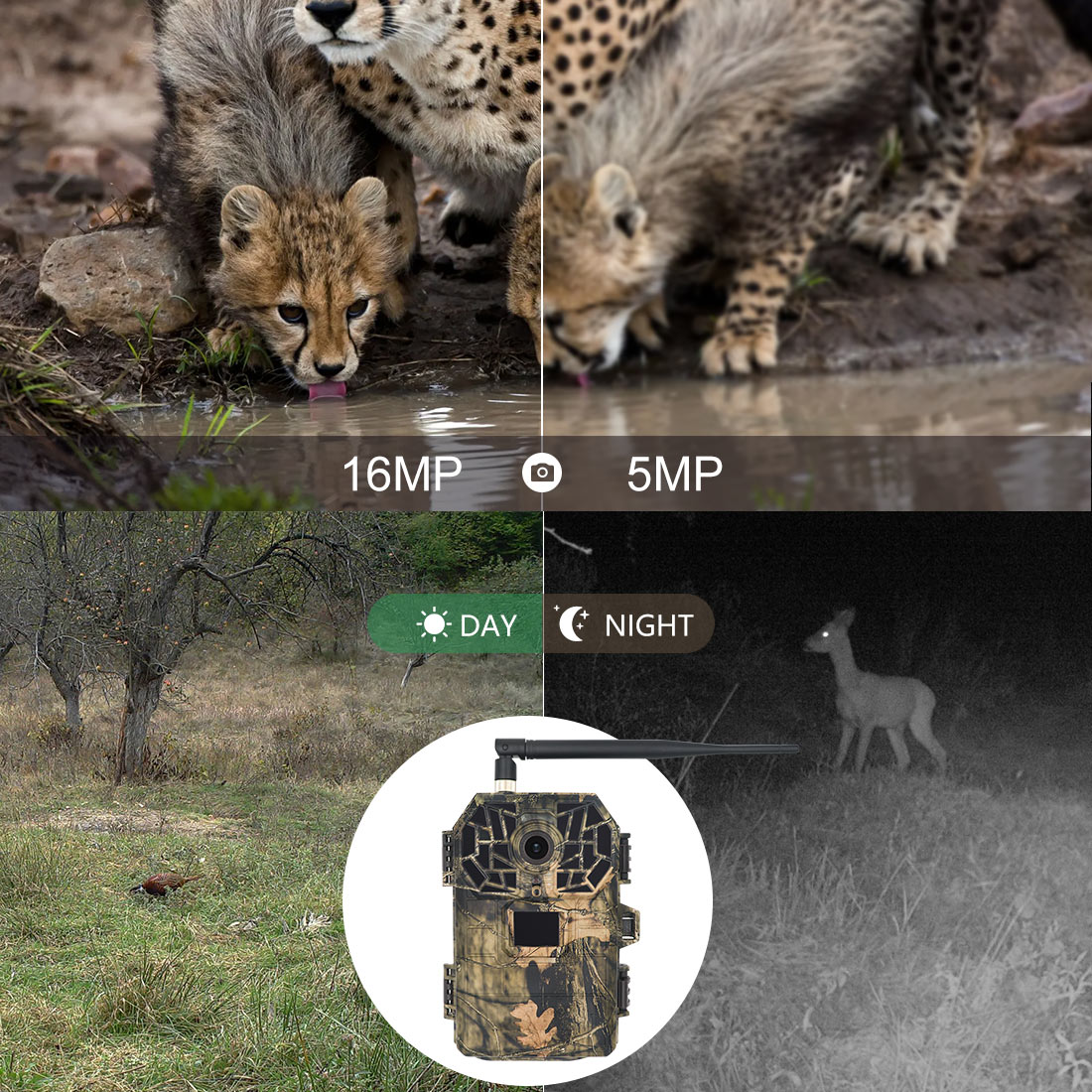 16MP Image 1080P FHD IP66 Waterproof Trail Cam 4G Cellular Game Camera