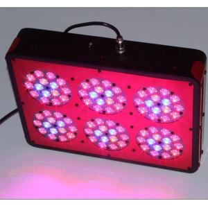 Quality led grow lights review,led grow lights reviews wholesale