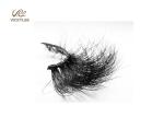 Comfortable Cotton Stalk 0.06mm Silk Eyelash Extensions