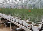 Small Size Double Wall Greenhouse Single Span Agricultural Greenhouse