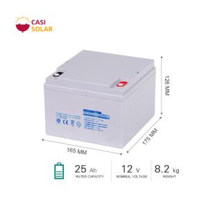 Quality UPS Sealed Valve Regulated Battery 12V 25Ah Sealed Maintenance Free wholesale