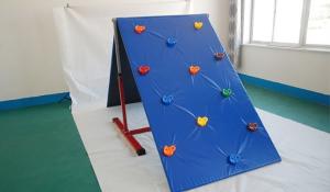 Quality Gymnastics Indoor Climbing Gym Playground Children Rock Climbing Board wholesale