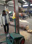 Petrol Wood Slasher Portable Chainsaw Mill Woodworking Cutting Off Logs