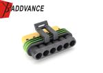Japan Electric Waterproof 6 pin Automotive Connector and Terminals