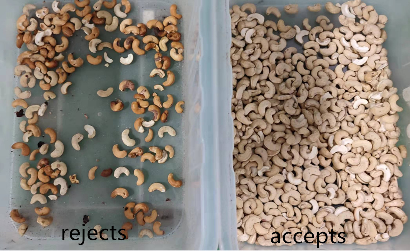 Wenyao Macadamia Color Sorter Nuts Color Selector Machine Cashew Nuts Sorting Machine