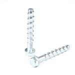100mm M16 Carbon Steel Zinc Plating HEX Head Concrete Screw Bolt for 100% QC