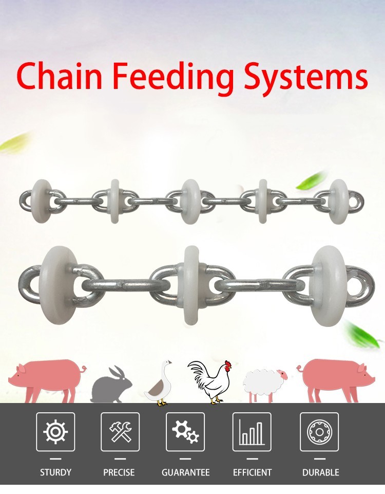 Livestock Farm Automatic Chain Disc Feeding Line