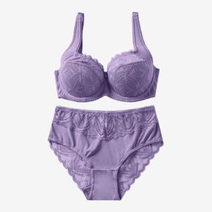 Quality High Quality Comfortable Women's Bra And Panty Set Lace Underwear And Bra Sets D Cup wholesale