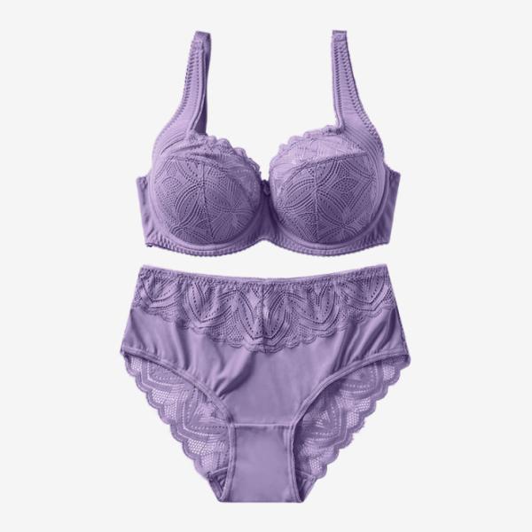 High Quality Comfortable Women's Bra And Panty Set Lace Underwear And Bra Sets D