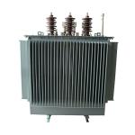 Oil immersed transformer