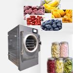 Automatic Protectio Home Food Freezer Machine Mini Household