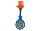 Double Flange Oil Gas Valve Triple Eccentric Butterfly Valve With Replaceable