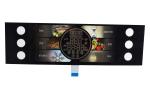 Digital Printed Graphic Capacitive Membrane Switches for Electrical Household
