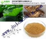 Manufacturer Supply natural high quality lotus leaf extract, Nelumbo Nucifera
