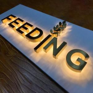 Quality 12V LED Strips Acrylic Stainless Steel Lettering Custom Business Outdoor Signs wholesale