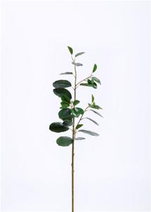 Quality Traditional 75CM Artificial Tree Branches Subtle Tropical Feel Nature Inspired wholesale