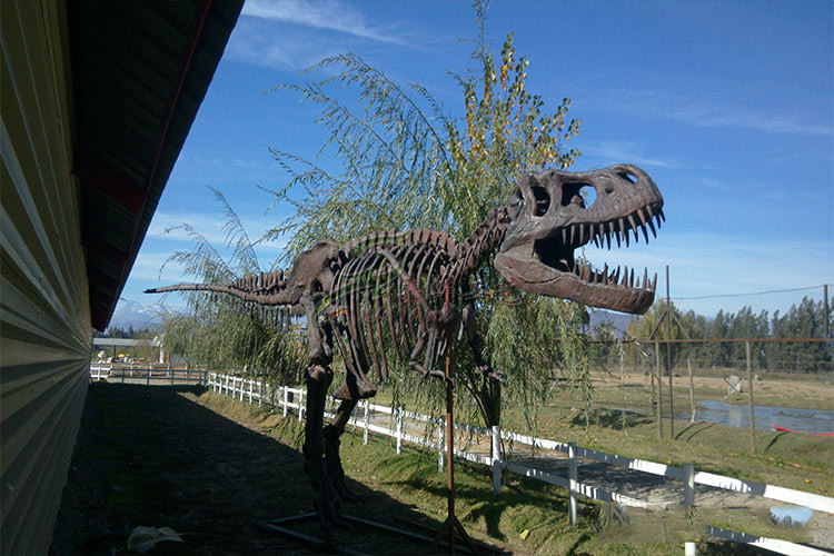 Vivid Complete Dinosaur Fossil Skeleton Bones For Science And Technology Museum