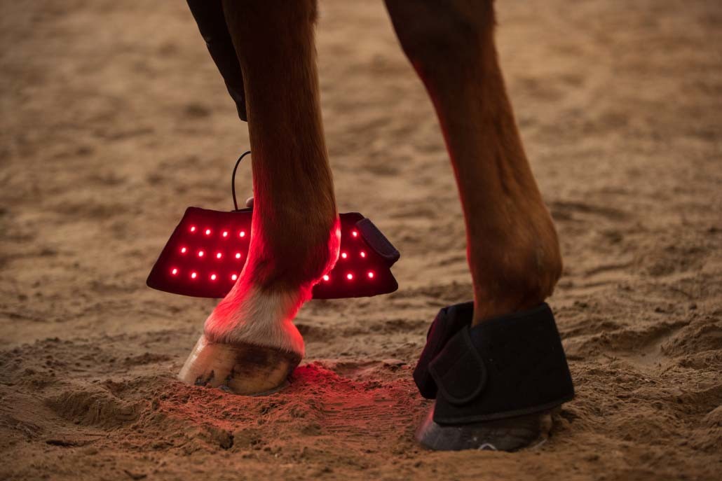 30pcs LED Near Infrared Red Light Therapy Wrap 15W For Horse