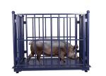 Anti Rust 3000KG Digital Livestock Scales With Fence