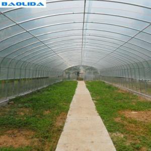 Quality Anti UV Hot Dipped Galvanized Steel Frame Poly Film Greenhouse wholesale