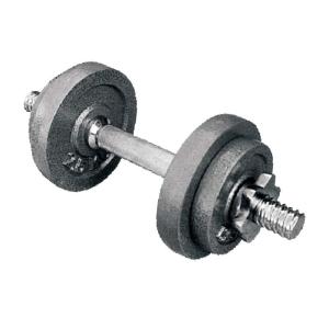 Quality Stoving Round Rubber Dumbbell Set Grey 10kgs Cast Iron Dumbbell Varnish Coated wholesale