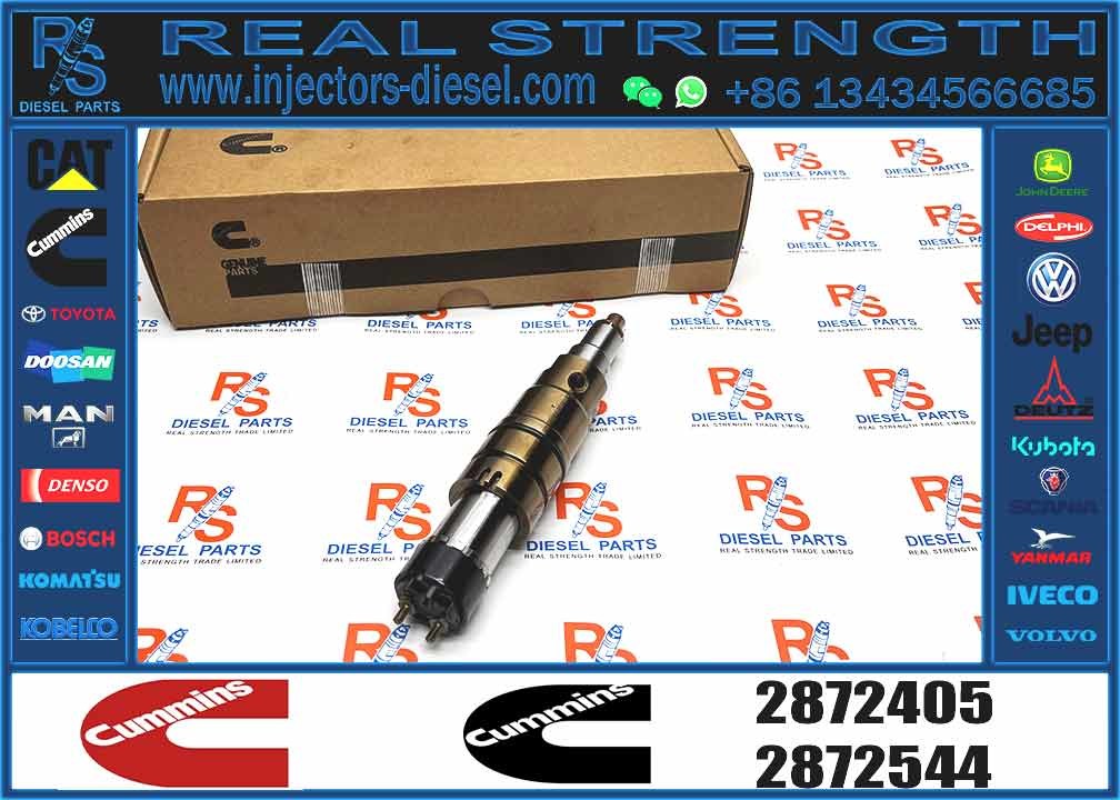 fuel injector 2872405 2894920 5579415