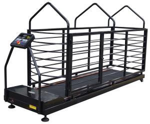 Quality 200kgs Capacity Dog Runner Treadmill Pet Medical Equipment wholesale