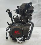250cc DAYANG LIFAN Motorcycle Engine Assembly Single Cylinder Four Stroke Style