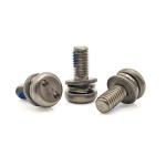 Stainless Steel Snake-Eye Security Screw – Double Spring & Flat Washers with