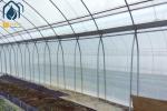 Commercial Tunnel Multi Span Greenhouse High Yield Cultivation Greenhouse