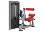 OEM Back Extension Gym Physical Workout Equipments