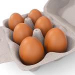 Thermoforming Egg Carton Mold Vacuum Forming Customized Industrial