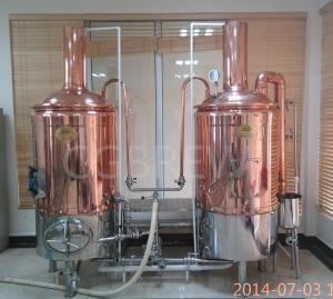 Quality 200L nano brewery equipment stainless steel brewing equipment for craft beer production line wholesale