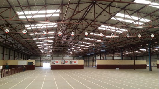 ASTM A36 Prefab Metal Airplane Hangar Agricultural Farm Barn Steel Structure Buildings