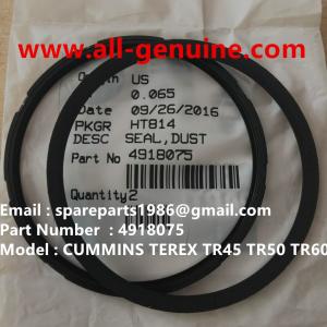 Quality 4918075 CUMMINS ENGINE TEREX DUST SEAL NHL DUMP TRUCK MINING QUARRY TR45 TR50 TR60 TR70 wholesale