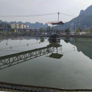 Quality Half Bridge Sludge Scraper Equipment Peripheral Drive Carbon steel wholesale