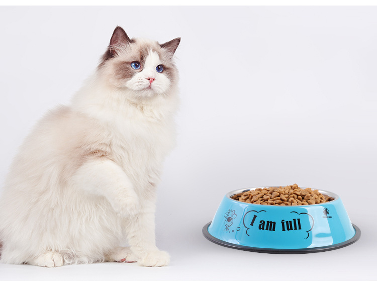 Pet Bowl Non-Slip Stainless Steel Material Customized SublimationEasy Cleaning Cups Pails