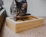 Hunting Game Kitten Brain Interactive Pet Toys Cat Food Puzzle Feeder
