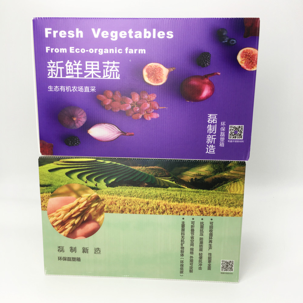 OEM Corrugated Plastic Storage Boxes Agricultural Product Farm Storage Heavy Duty