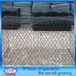 600*600*20/25 Heavy Stainless Steel Hexagonal Gabion Wire Mesh with Years of