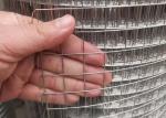 Animals Cage 2cm Ss Welded Wire Mesh 30m X 1m