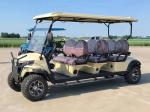 Six-Seater Electric Off-Road Luxury Golf Cart Lithium Battery Equipped With 14