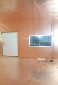 Quality 10MHz Rf Shielded Doors Mri Shielding Hospital Copper Inlay wholesale