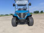 1740mm Wheelbase Two Seater Golf Cart With LCD Instrument Dashboard