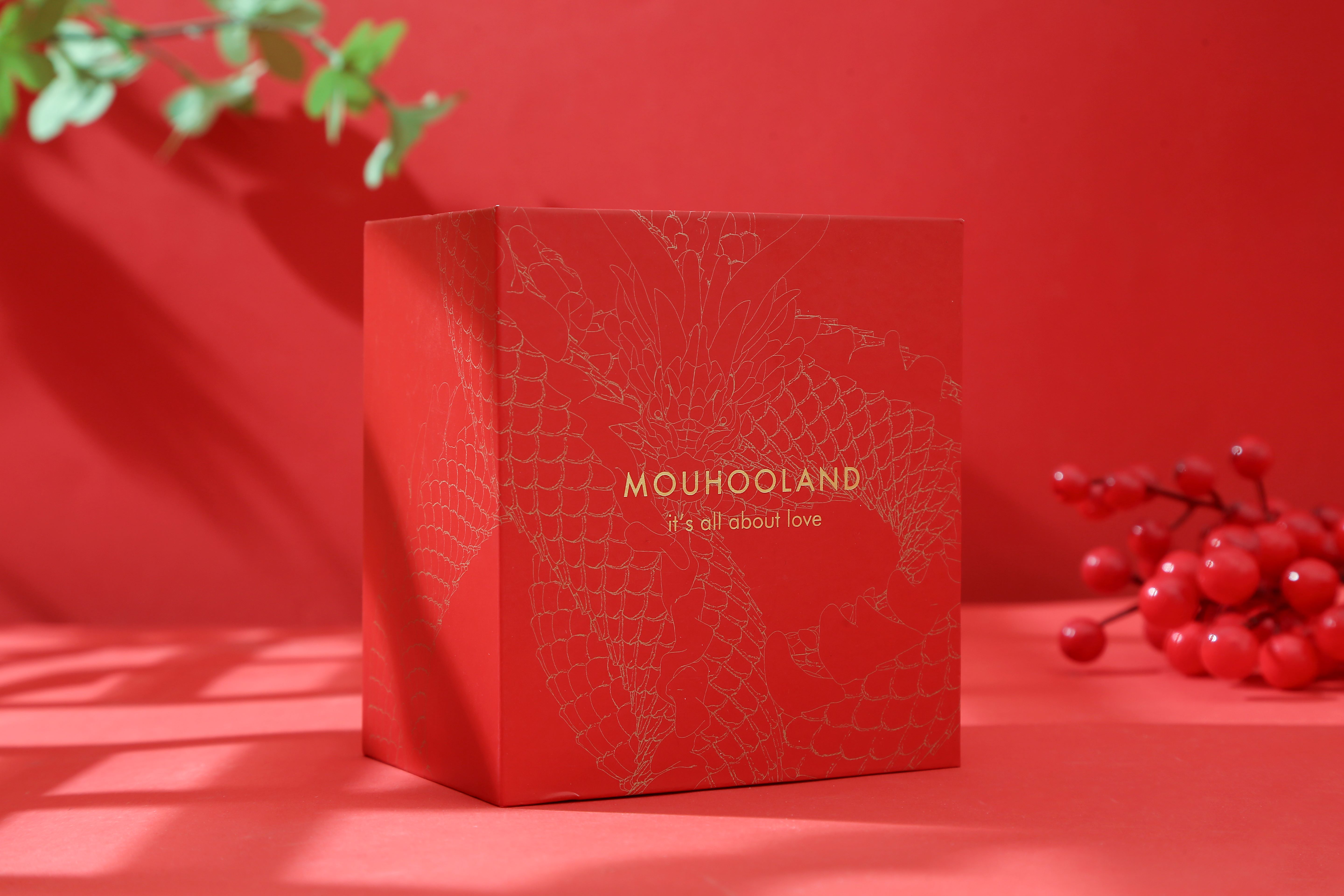 Gold Hot Stamping Rigid Cardboard Cosmetic Gift Box Packaging Book Shaped Folding