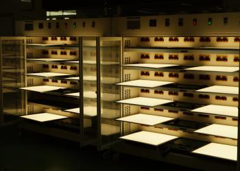 Surplus (China) Lighting Industrial Co., Ltd
