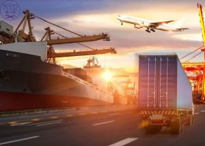Quality International Sea Freight Shipping Flexible Solutions To UAE wholesale